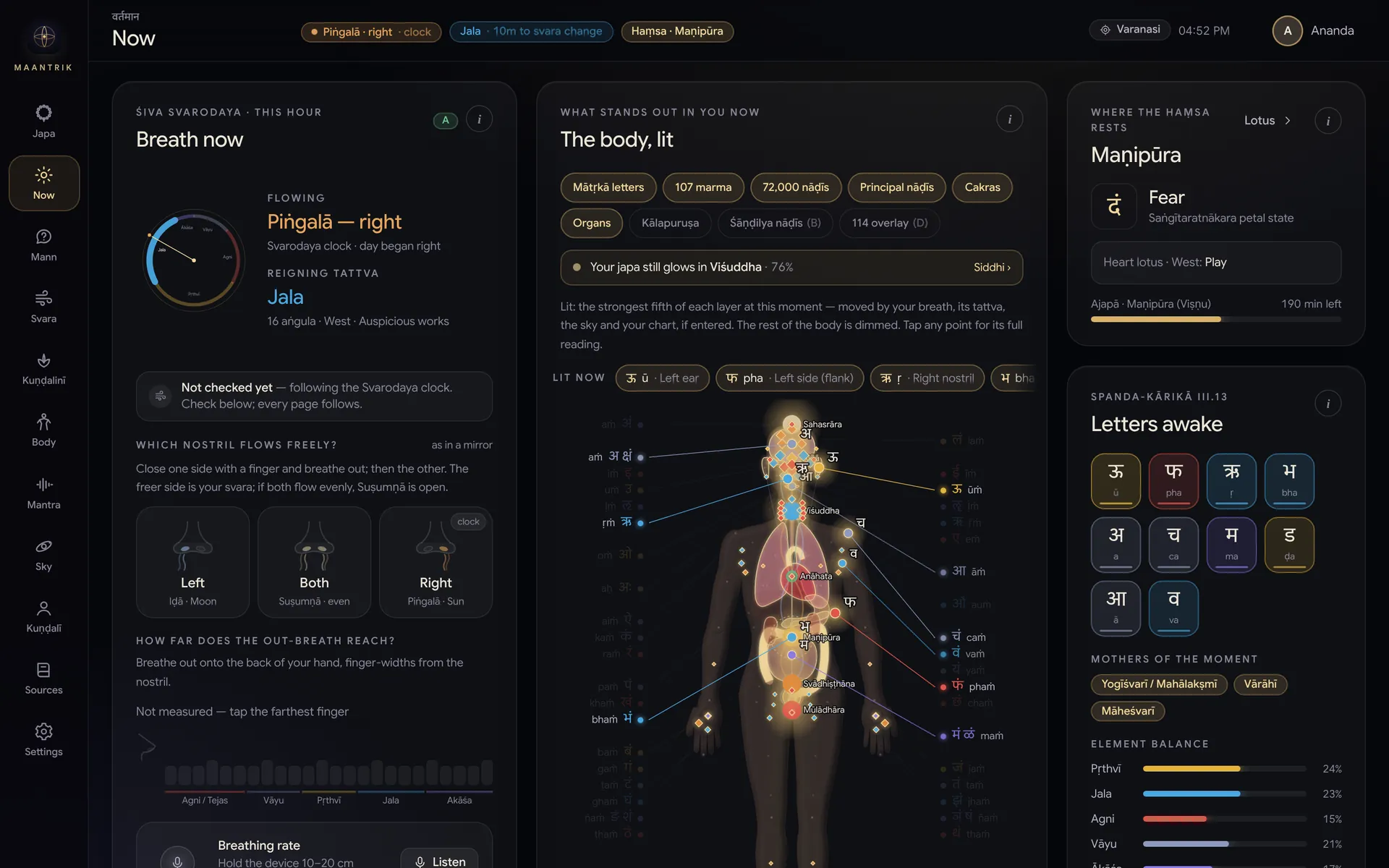 Your body now: the points lit in you, with the afterglow of your japa